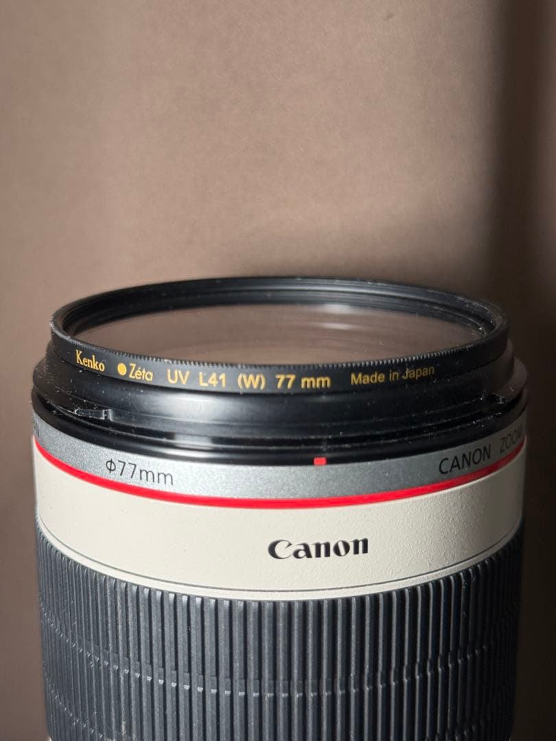 キャノン EF 70-200mm f2.8 ii IS USM