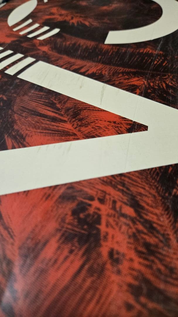 CAPITA スノーボード BIRDS OF A FEATHER　146cm