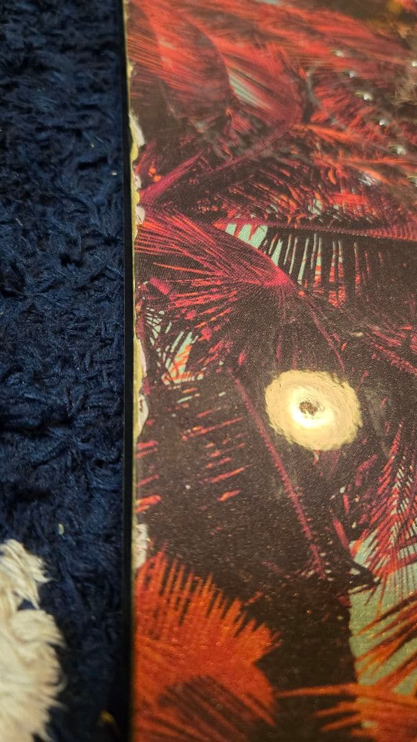 CAPITA スノーボード BIRDS OF A FEATHER　146cm