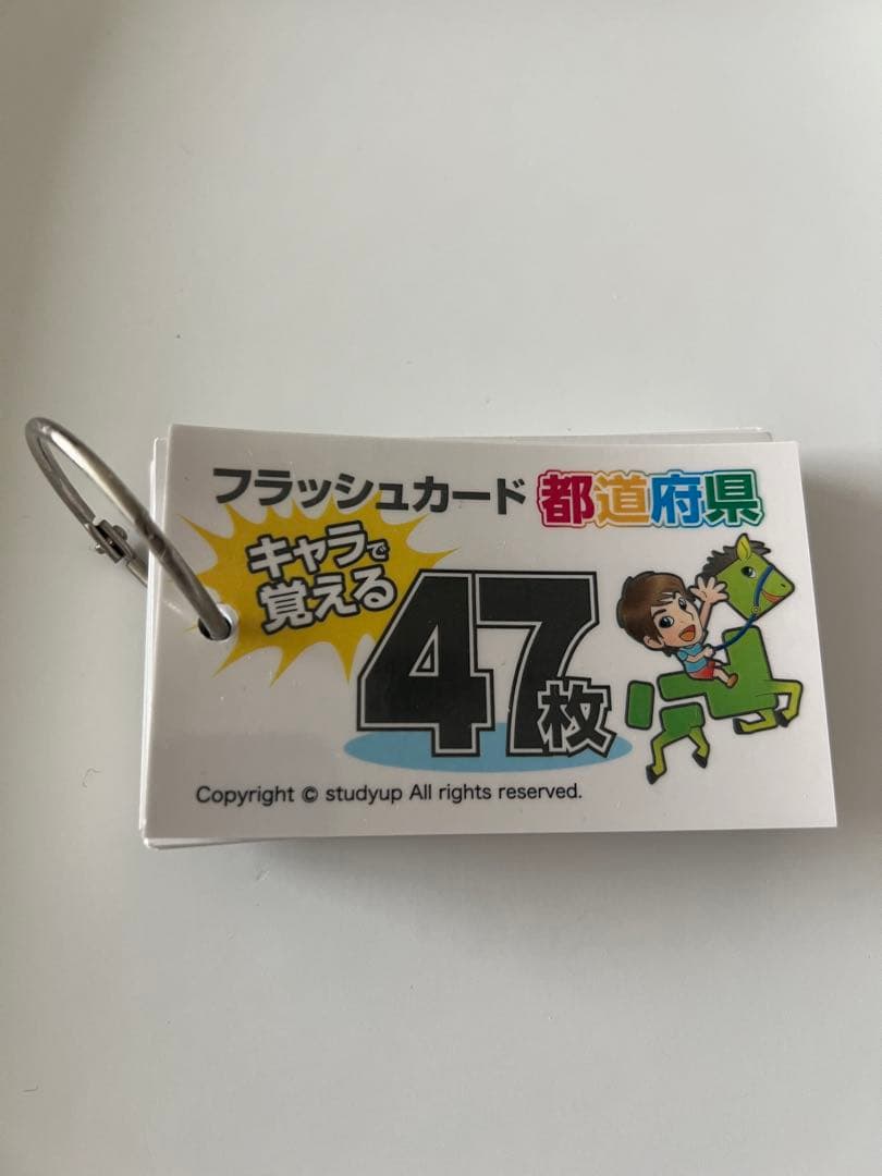 スタディアップ　白地図ピース　重ねて覚える191ピース