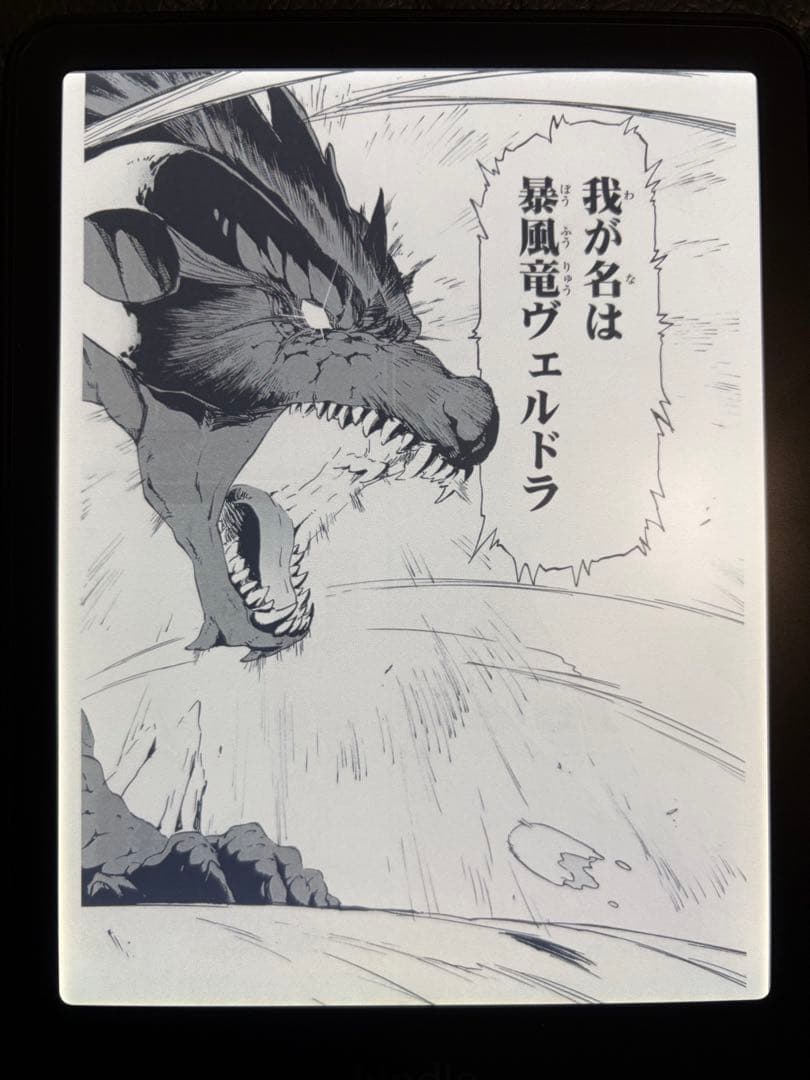 Kindle colorsoft 16GB カバー付き