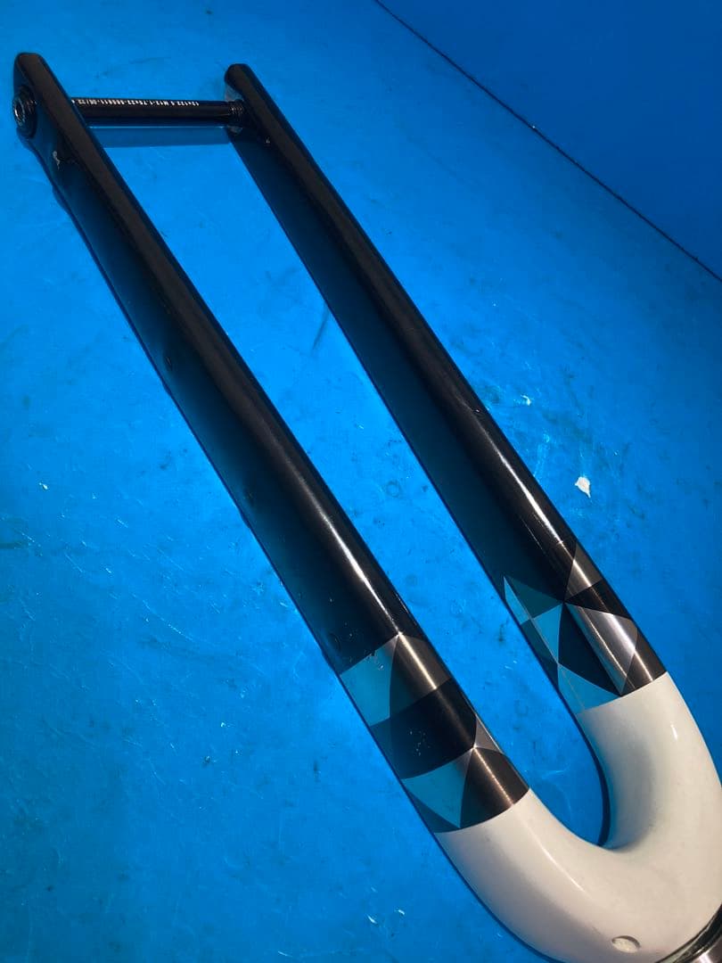 ◻️Trek Checkpoint ALR 5 フルカーボンフロントフォーク