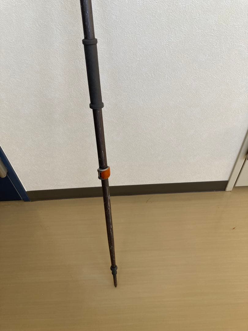 ブラックダイヤモンド　ウィペット（1本）