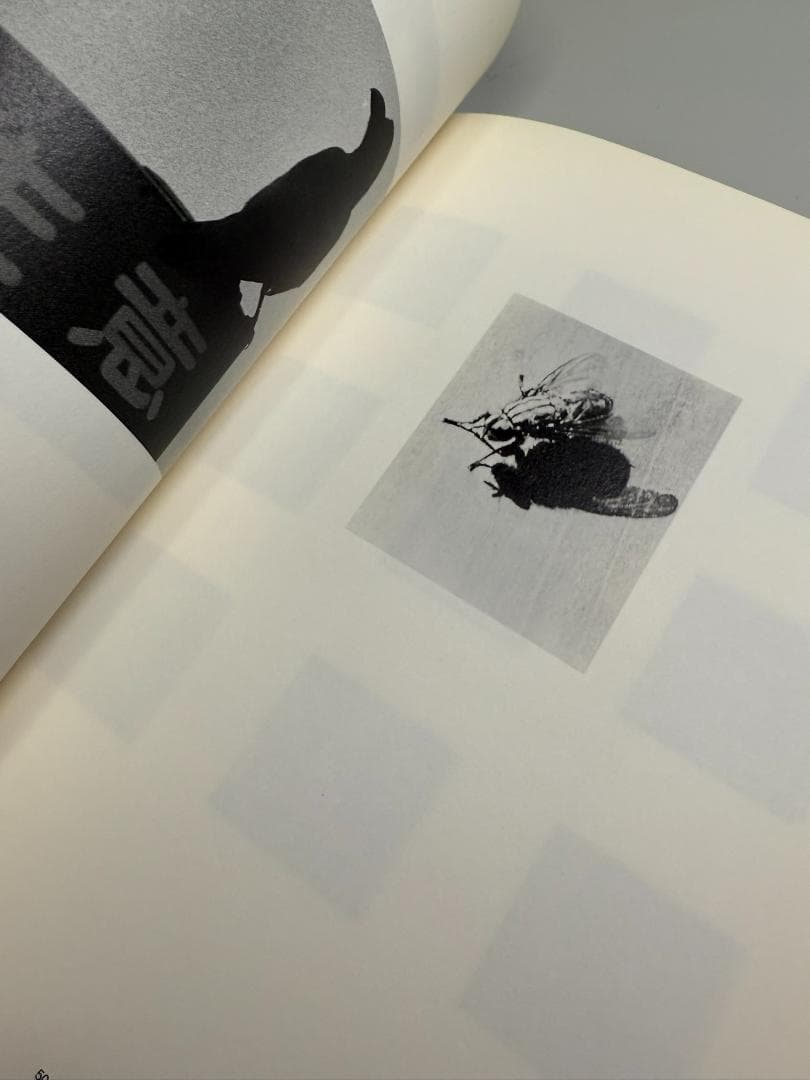 安部公房 Kobo Abe as Photographer