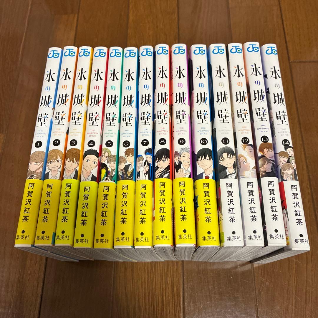 氷の城壁 1〜14 完結全巻