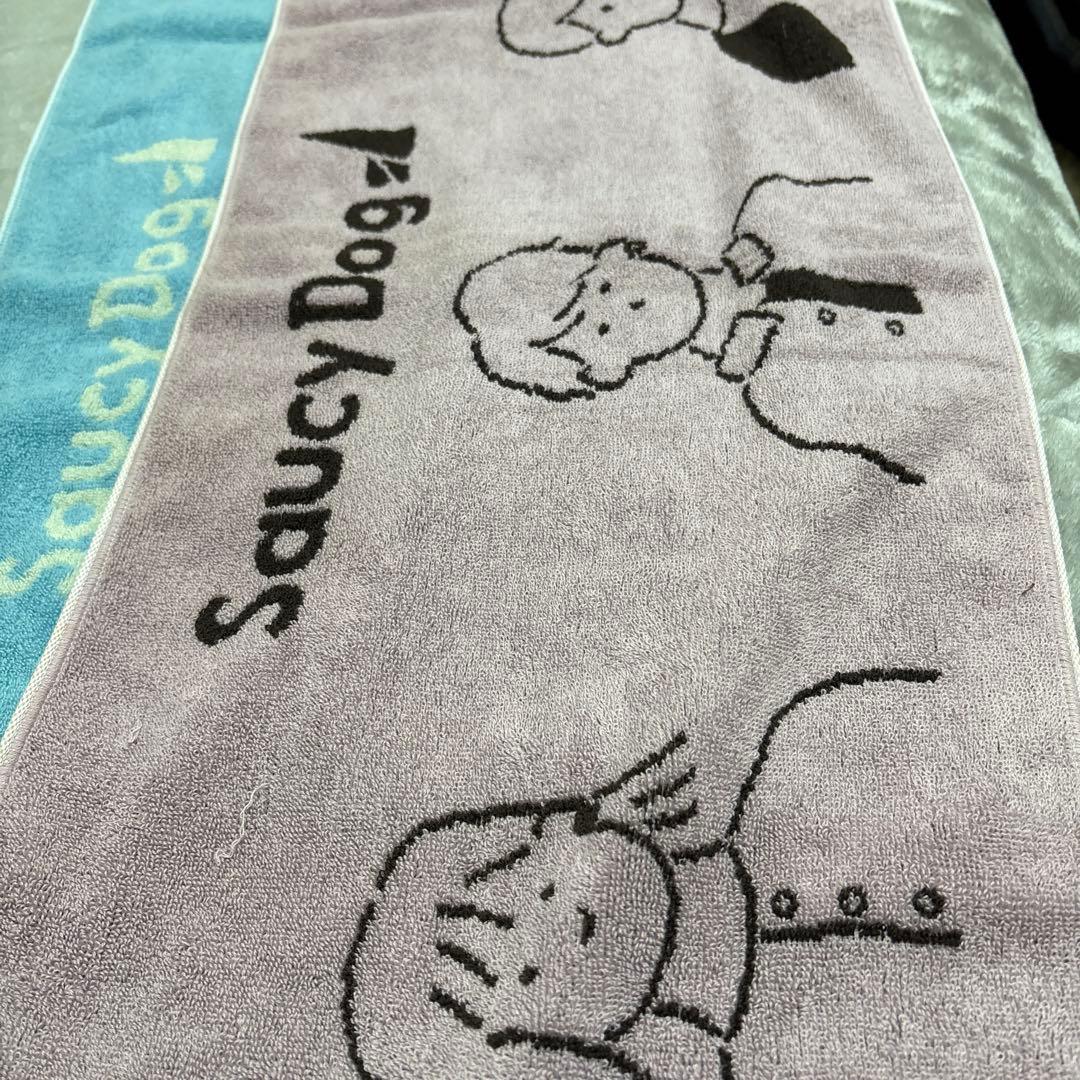 saucy dog まとめ売り