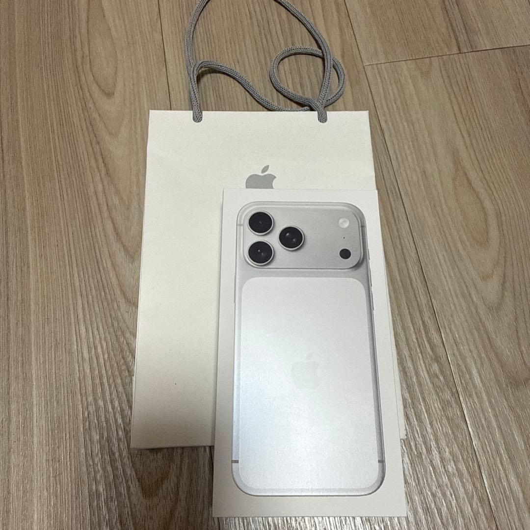 iPhoneアクセサリー iPhone17ProMax 256GB Silver