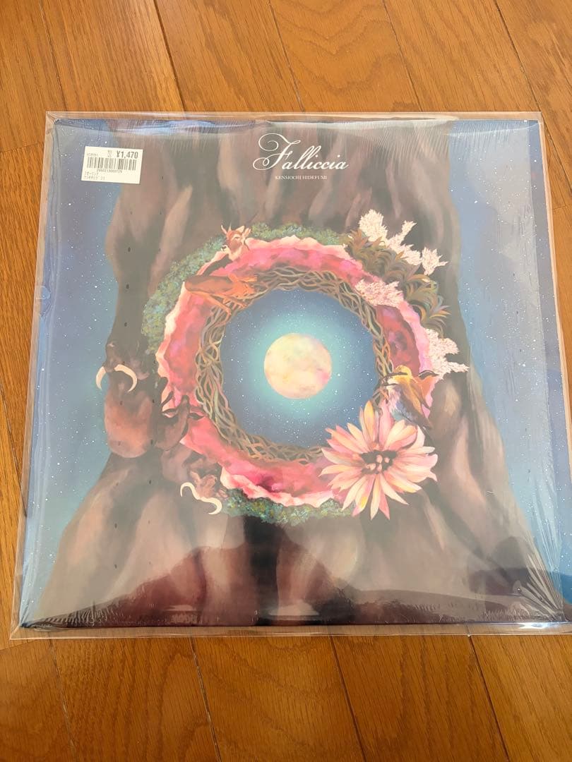 Kenmochi Hidefumi／Falliccia 12インチレコード