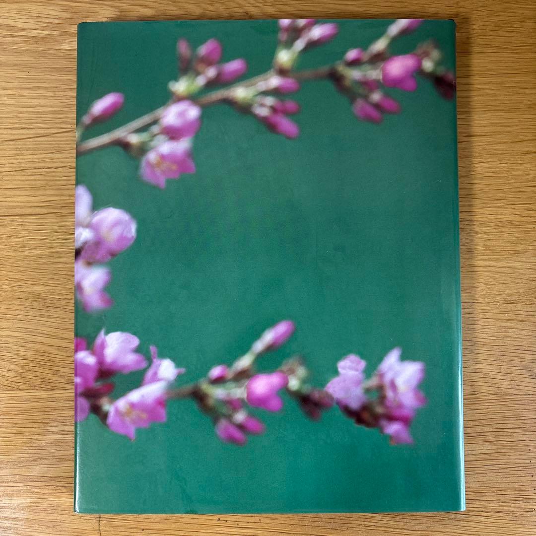 洋書　バービーインジャパン　日本仕様　本