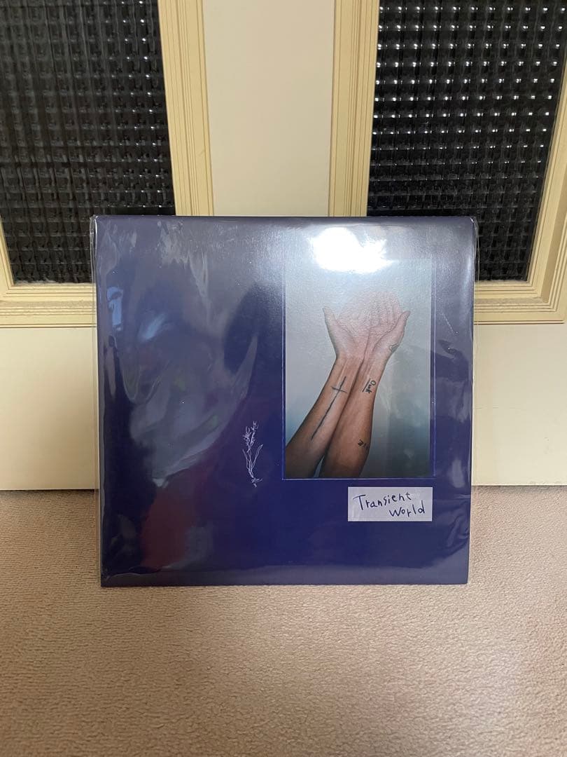 Transient world 下津光史 レコード