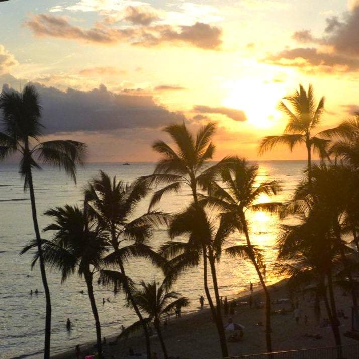 ハイジ✨スタッドピアス　出品✨様＊いちょうのペントップ イエロー他１点