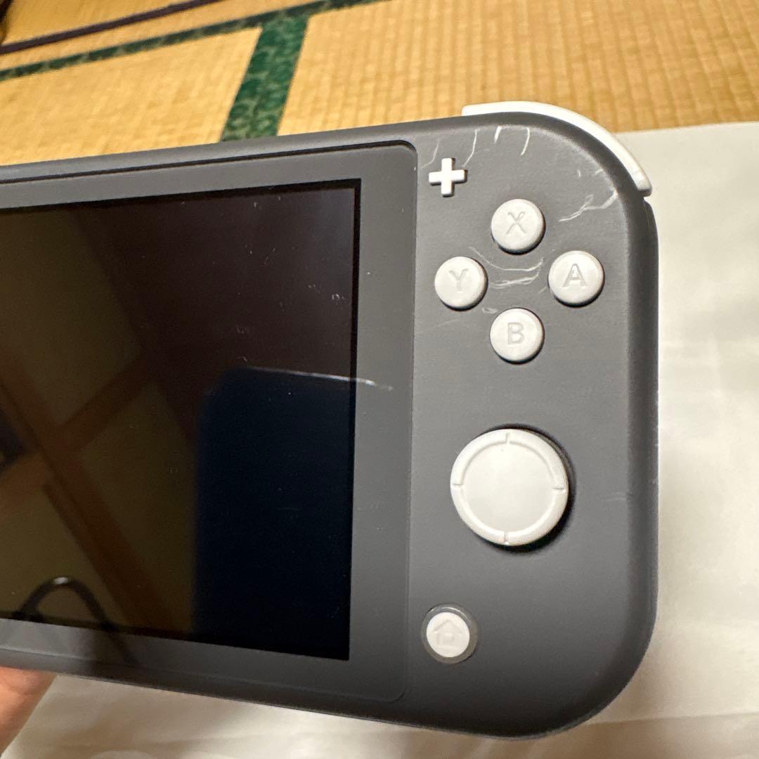 大*様様 NintendoSwitchLite 動作確認済み　ニンテンドースイッ