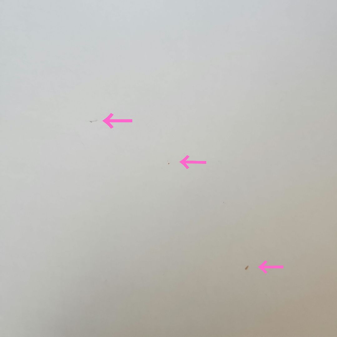 【レア】マリメッコ　ウニッコ　トレイ　大　marimekko