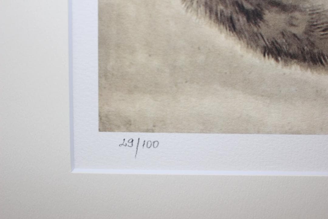 藤田嗣治 エスタンプリトグラフ 親子猫 29/100