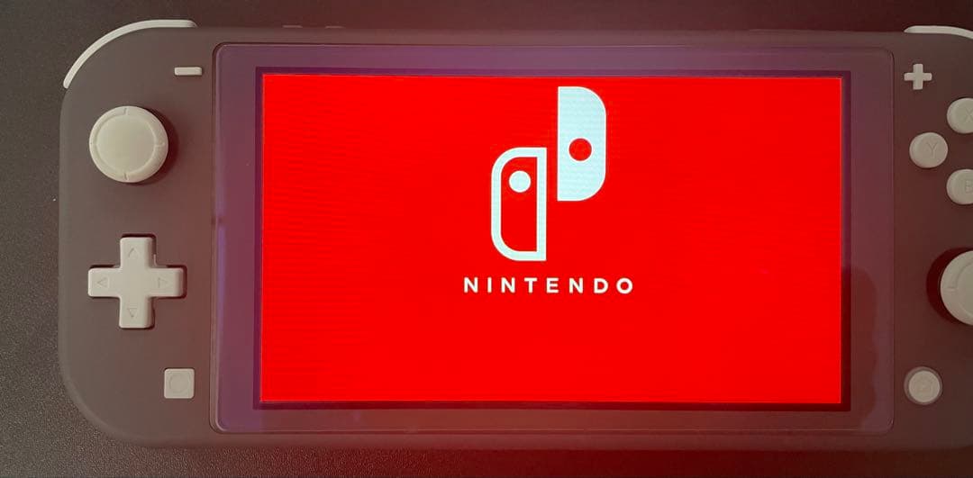 E*E様 ニンテンドースイッチライトグレー