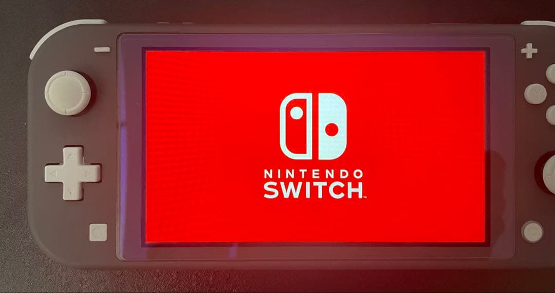 E*E様 ニンテンドースイッチライトグレー