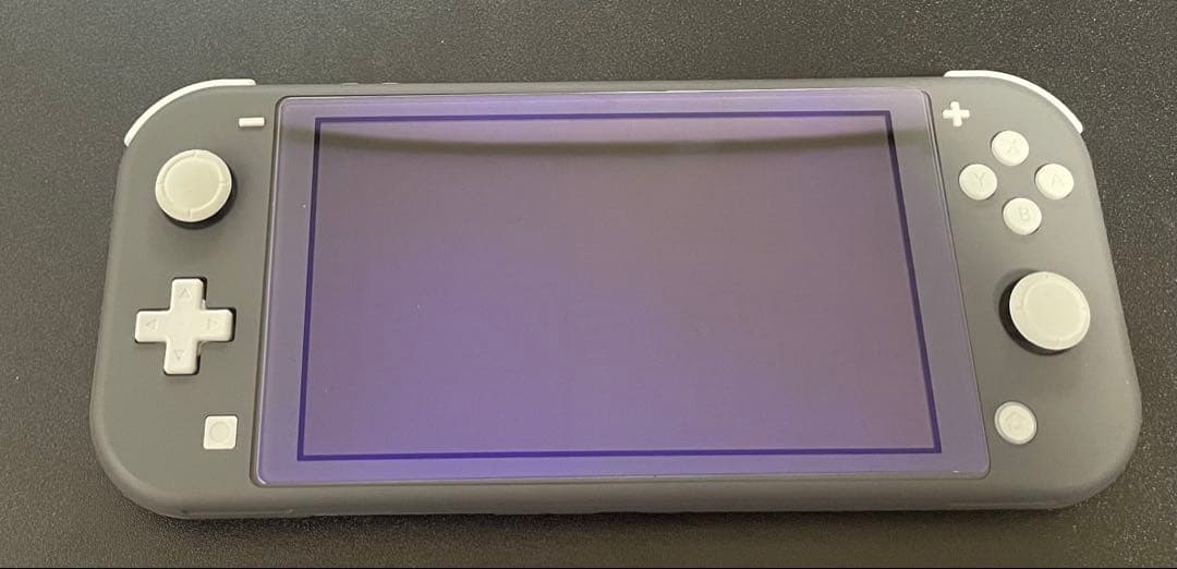 E*E様 ニンテンドースイッチライトグレー