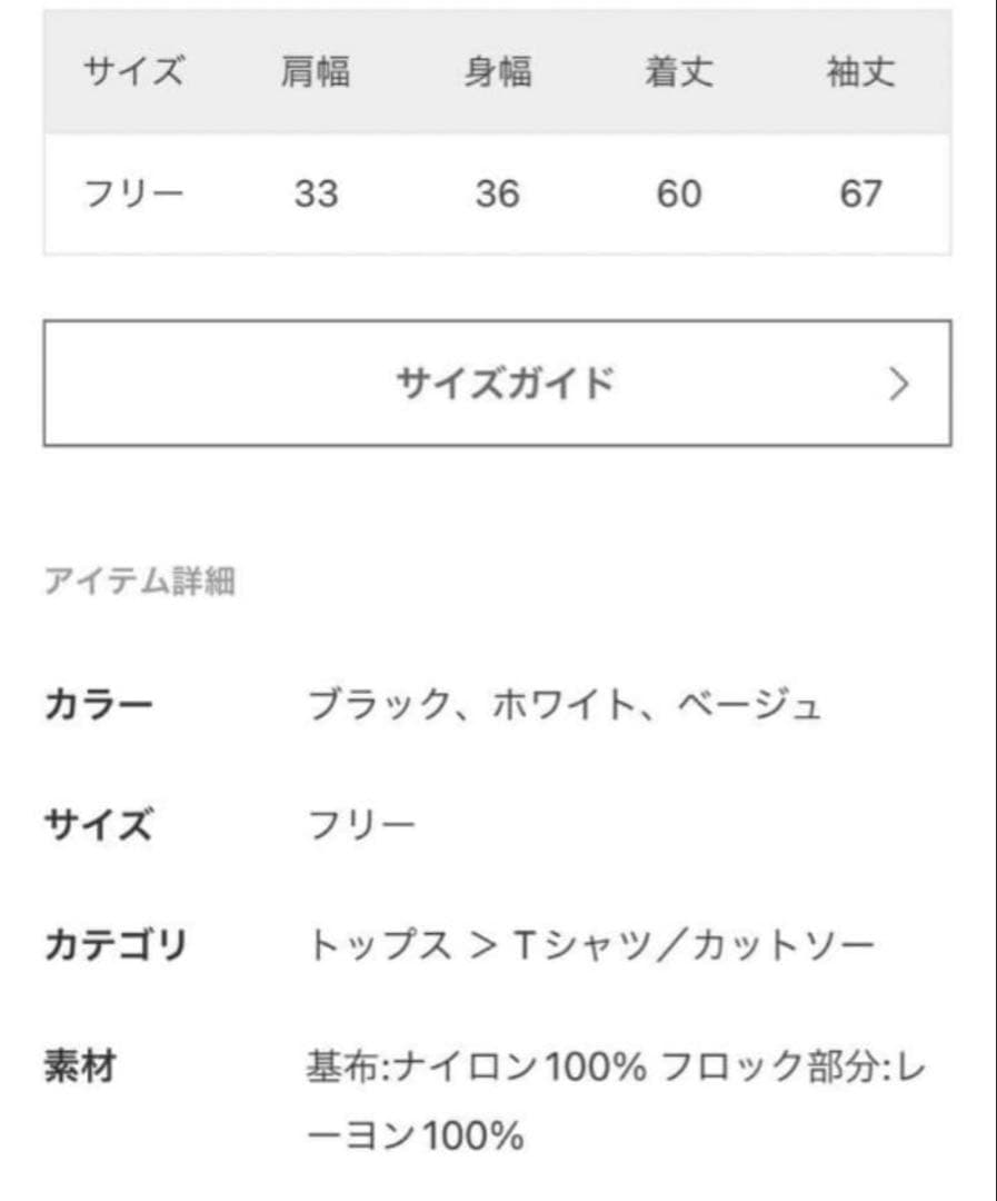 plage Flocky Mesh フロッキーメッシュロンT タグ付き