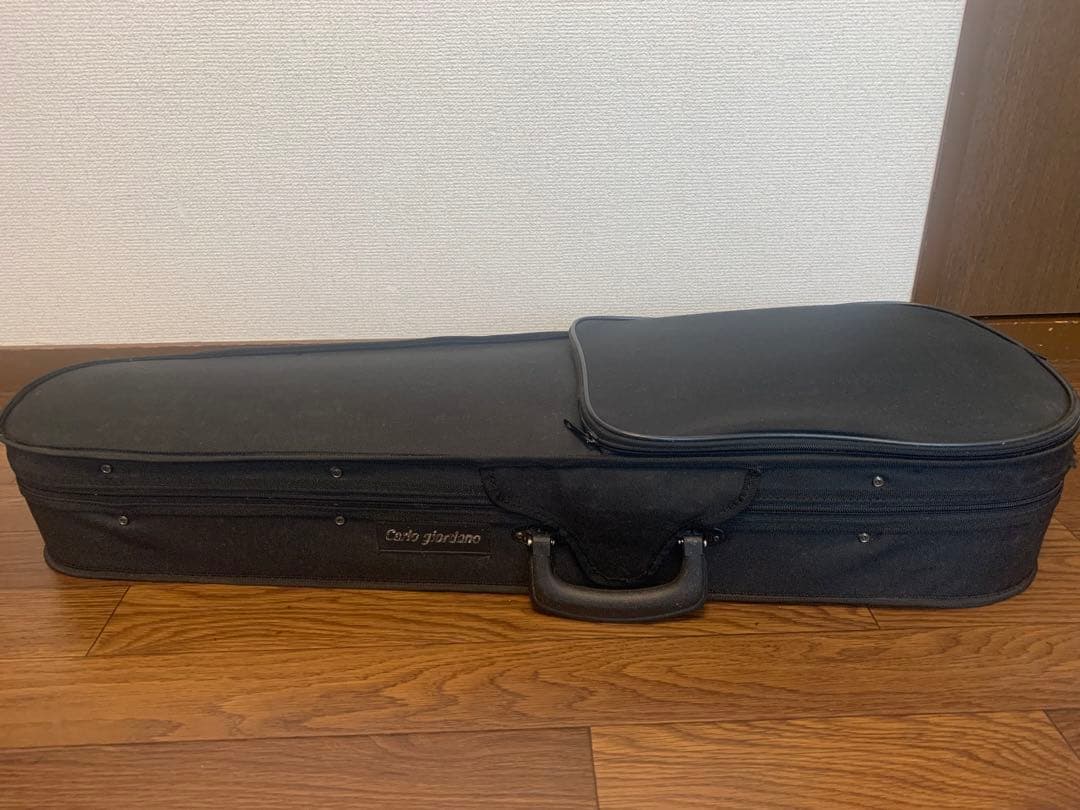 カルロジョルダーノ EV-202(C) エレクトリックバイオリン