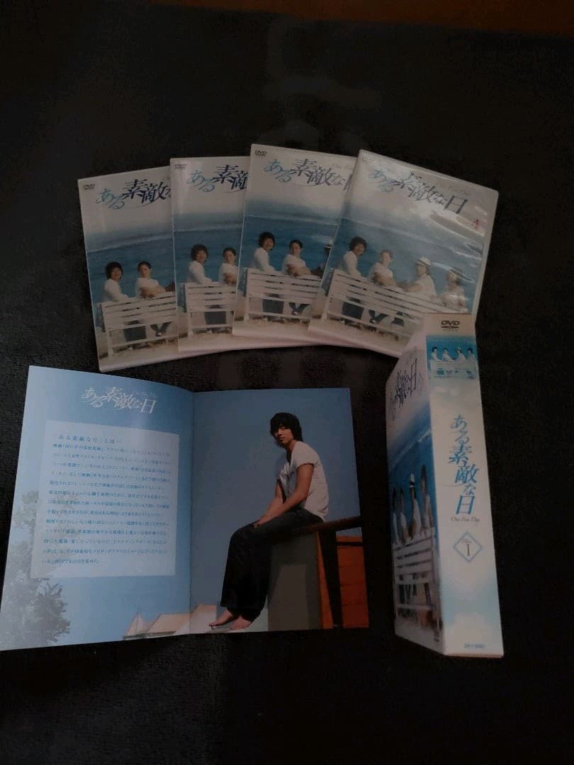 韓国ドラマ「ある素敵な日 DVD-BOX Ⅰ〈4枚組〉」コン・ユ　ナムグン・ミン