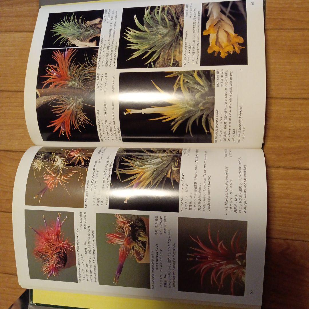 ティランジア・ハンドブック