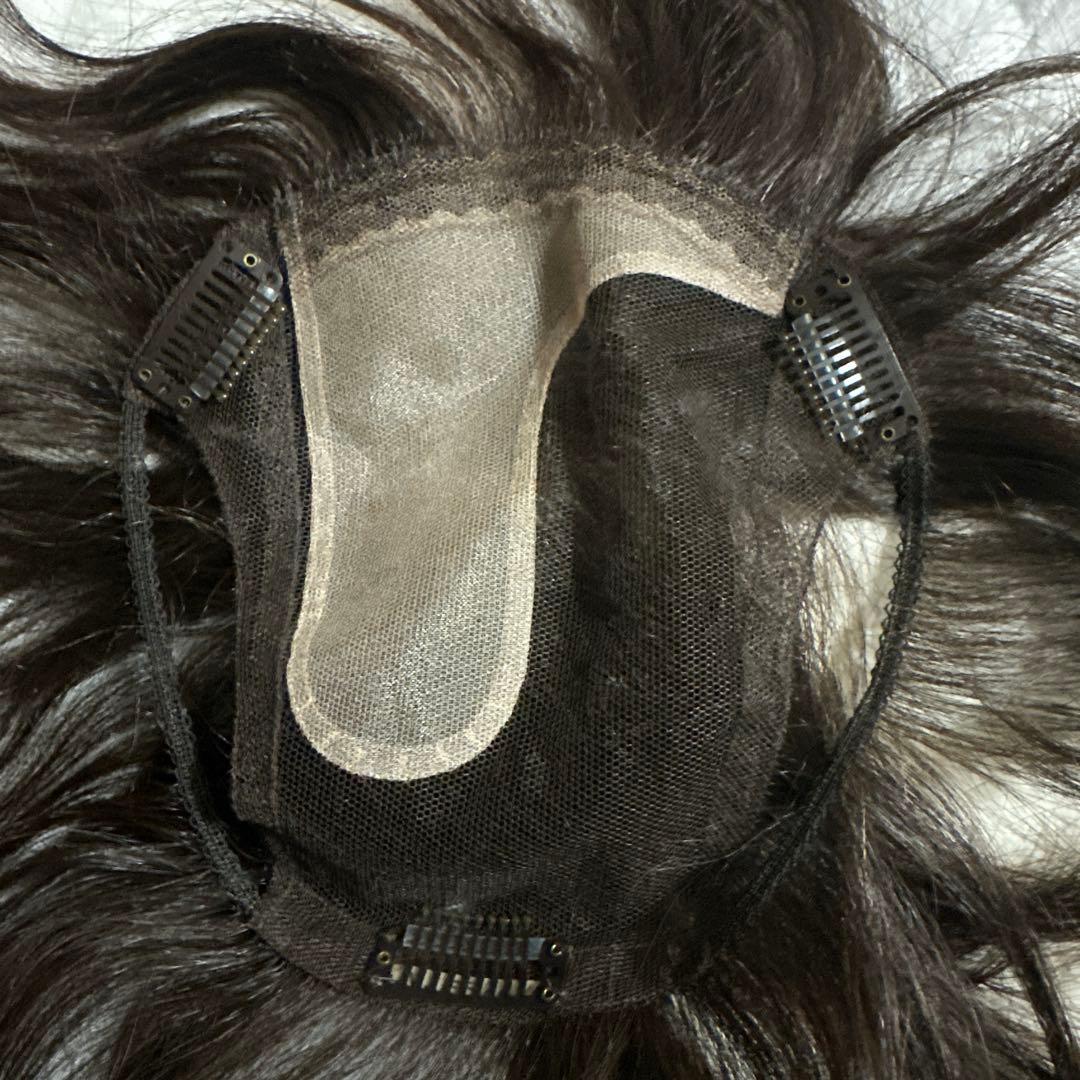 ☆Julia Olger ジュリアオージェ ウィッグ☆