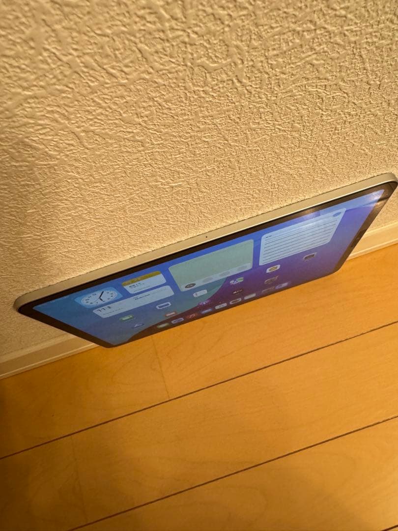 美品/iPad Pro 11インチ/1世代/64GB/wifi