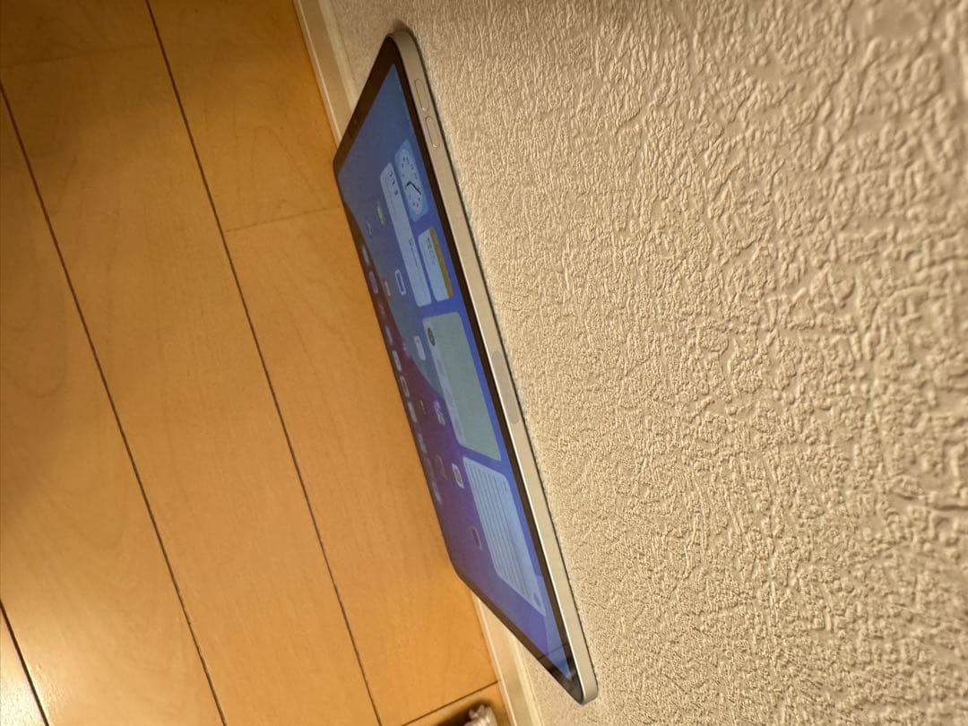 美品/iPad Pro 11インチ/1世代/64GB/wifi