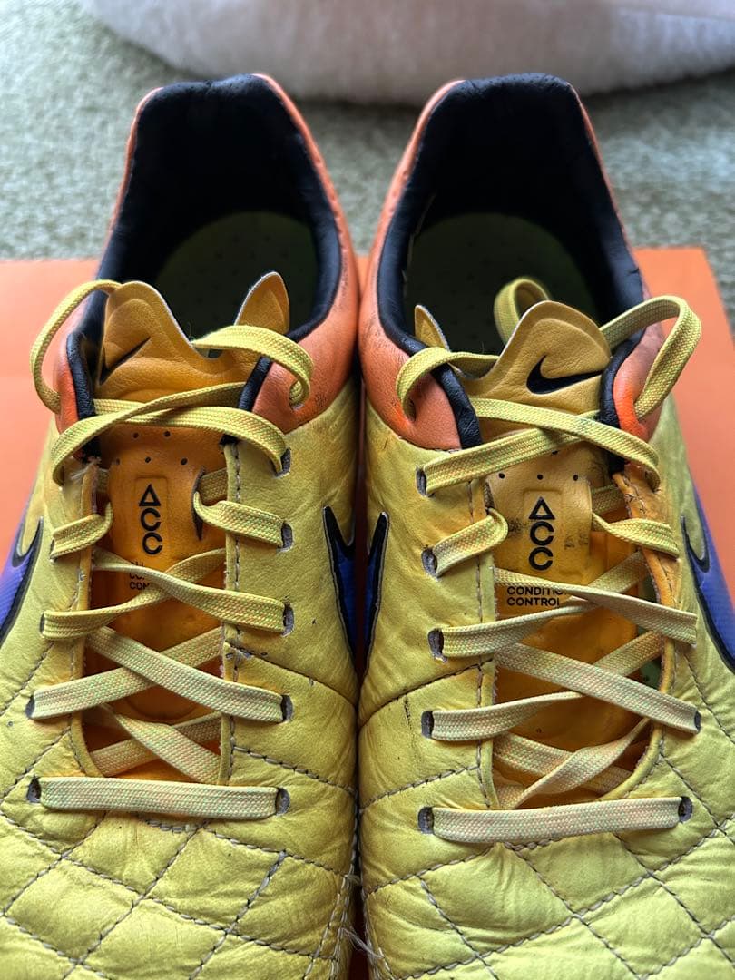 ティエンポレジェンド5 FG