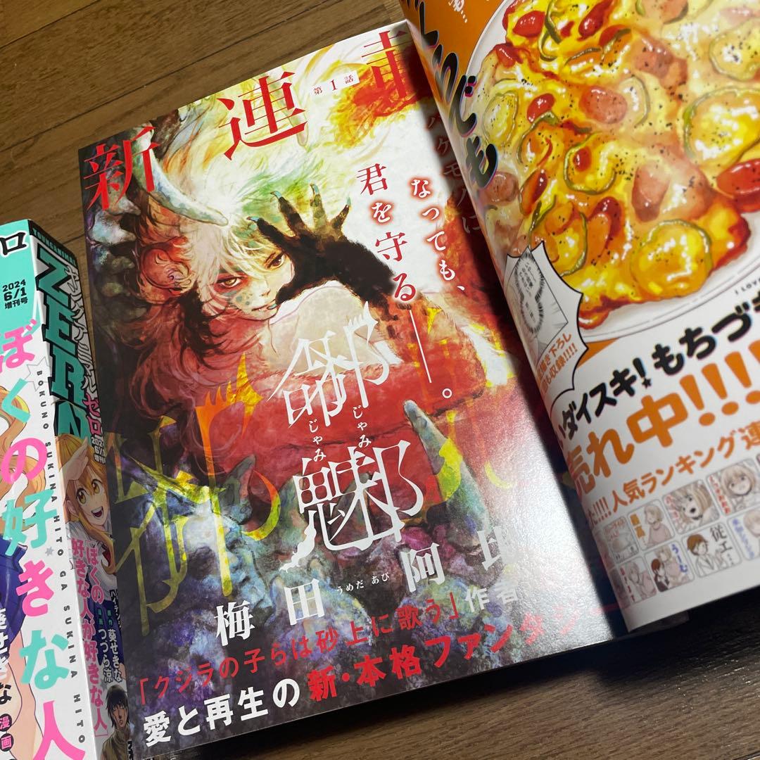 ヤングアニマルZERO ゼロ 2024年6月増刊他 ドカ食いダイスキもちづきさん