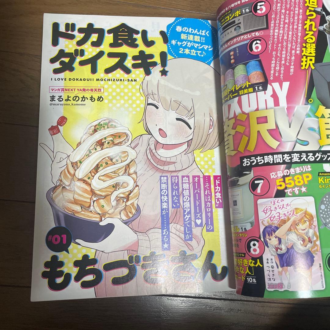 ヤングアニマルZERO ゼロ 2024年6月増刊他 ドカ食いダイスキもちづきさん