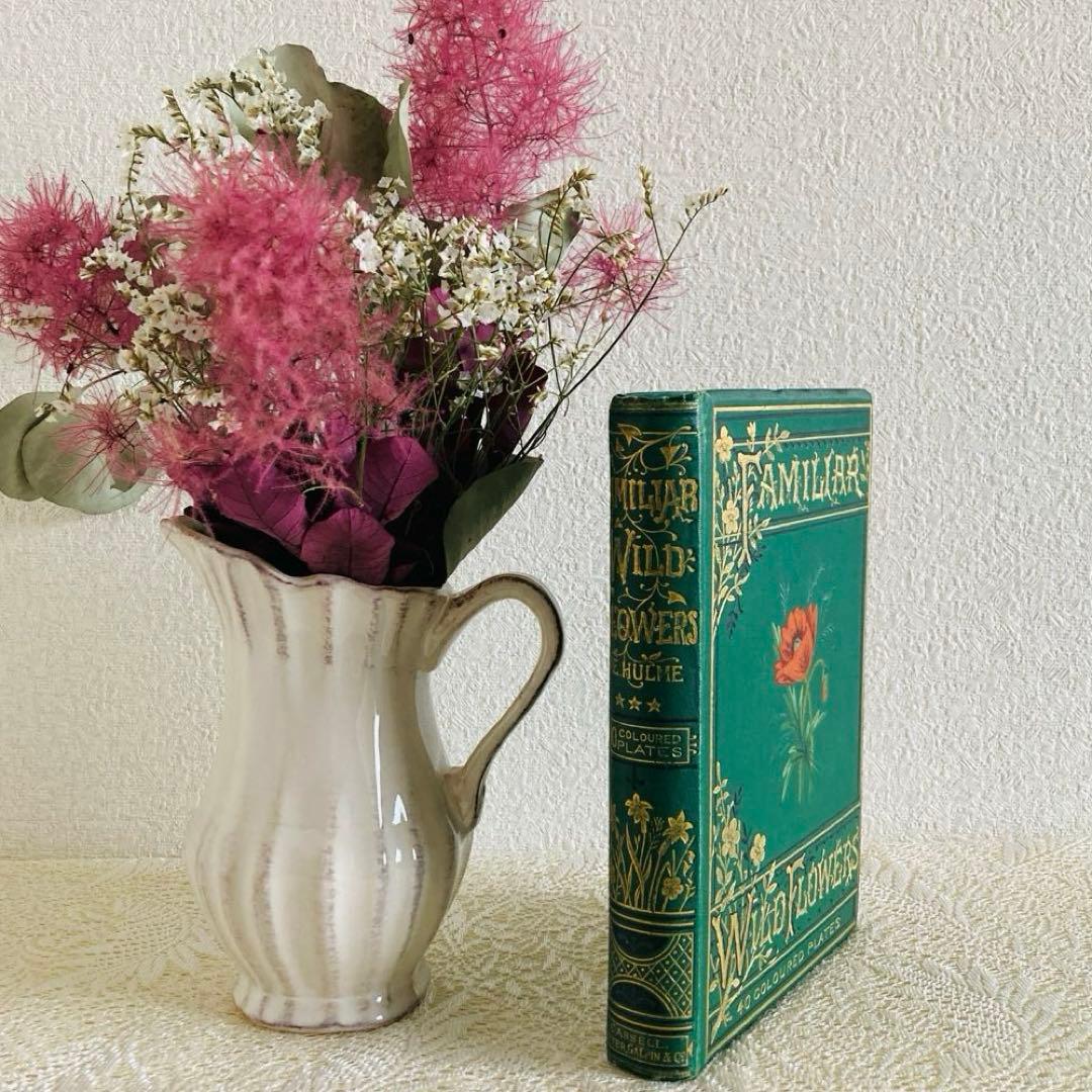 洋書古書　希少　Familiar Wild Flowers　アンティーク植物図鑑