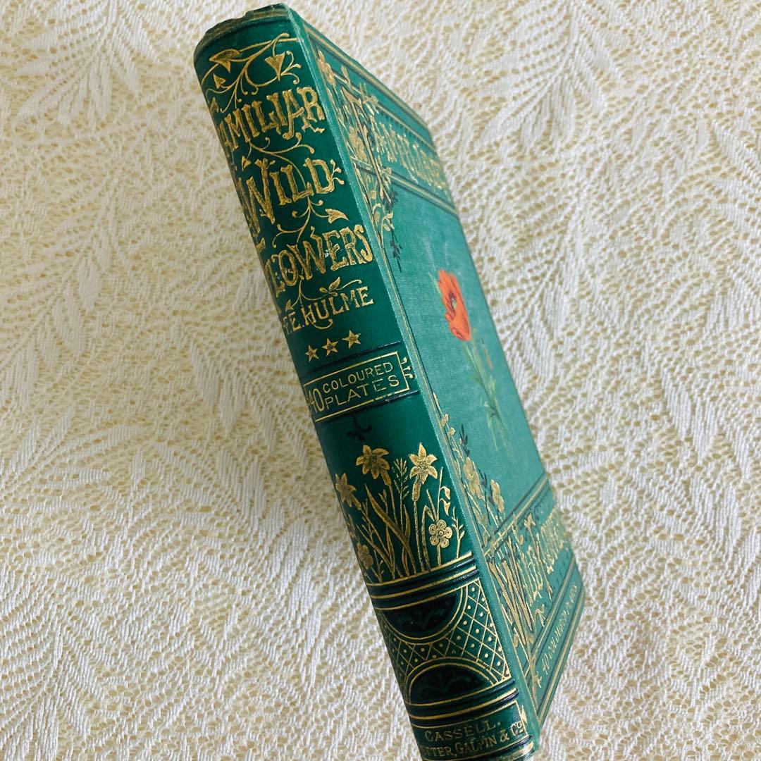 洋書古書　希少　Familiar Wild Flowers　アンティーク植物図鑑
