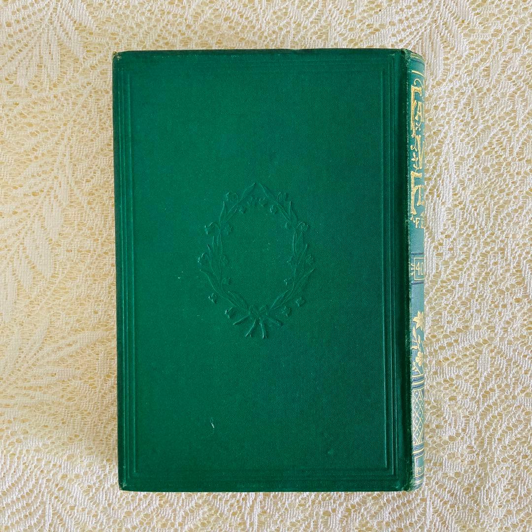 洋書古書　希少　Familiar Wild Flowers　アンティーク植物図鑑