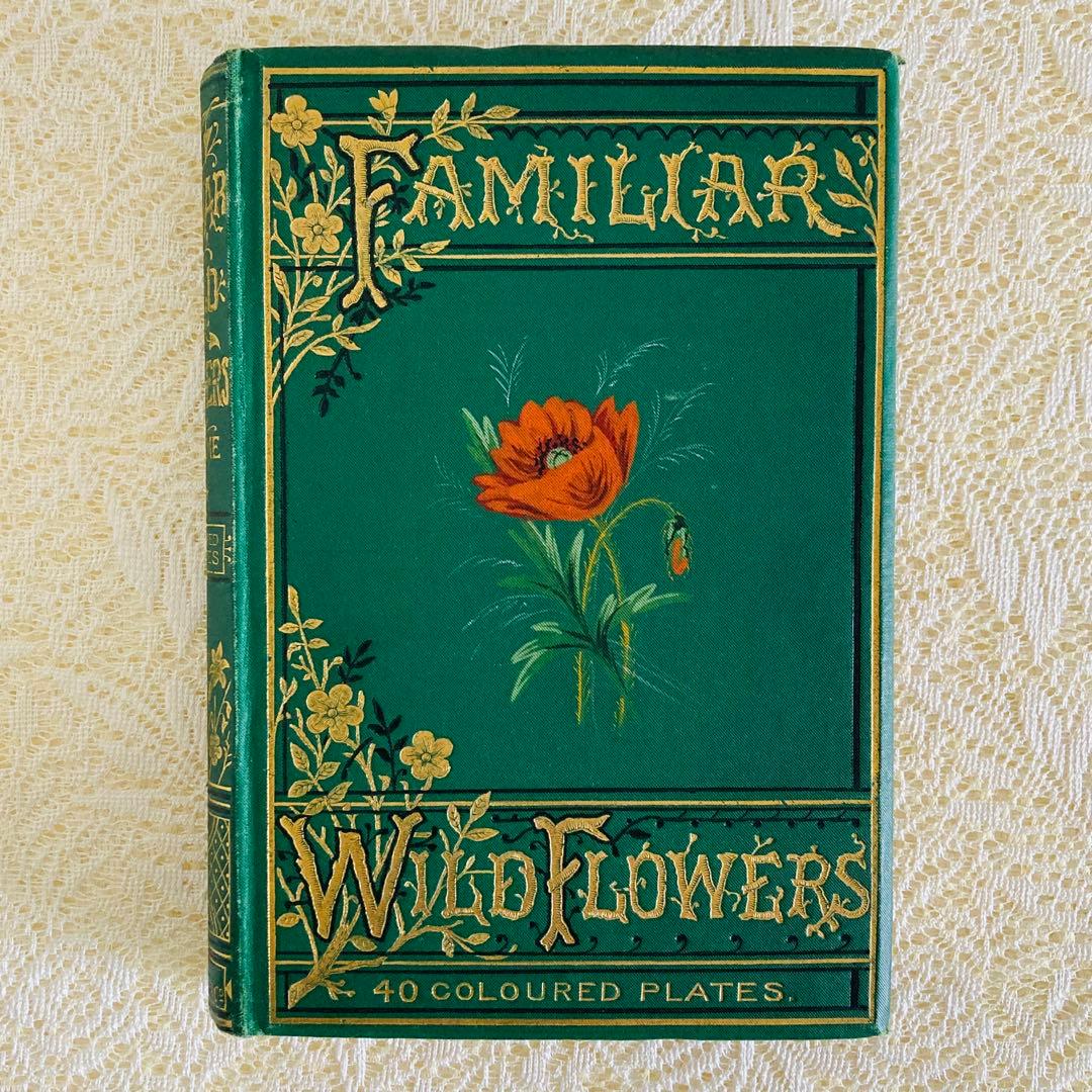 洋書古書　希少　Familiar Wild Flowers　アンティーク植物図鑑