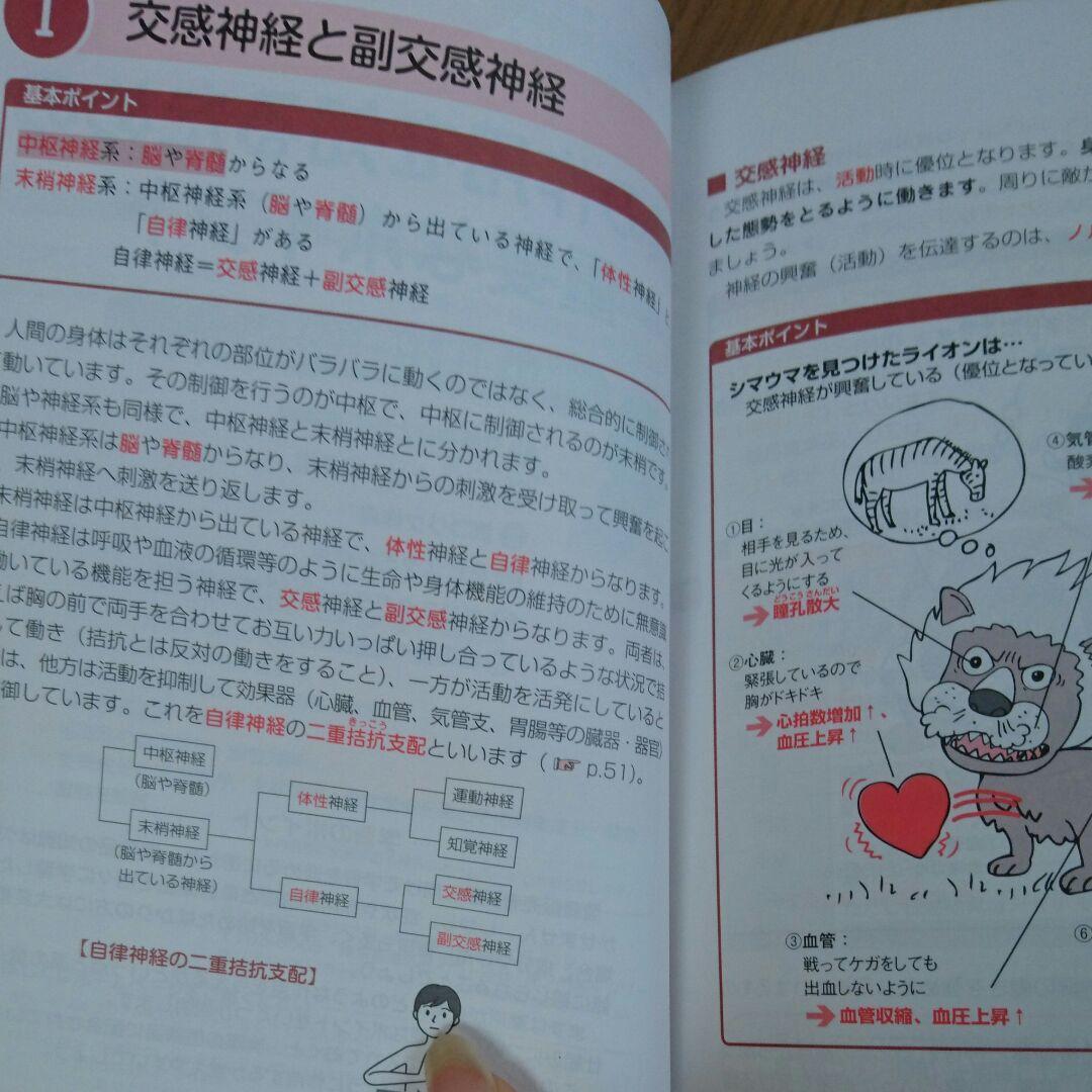 ヒューマンアカデミー 登録販売者試験 テキスト  DVD