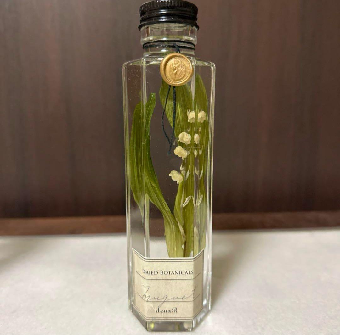 deuxRドライフラワー ハーバリウム 3本セット植物標本ボタニカルボトル