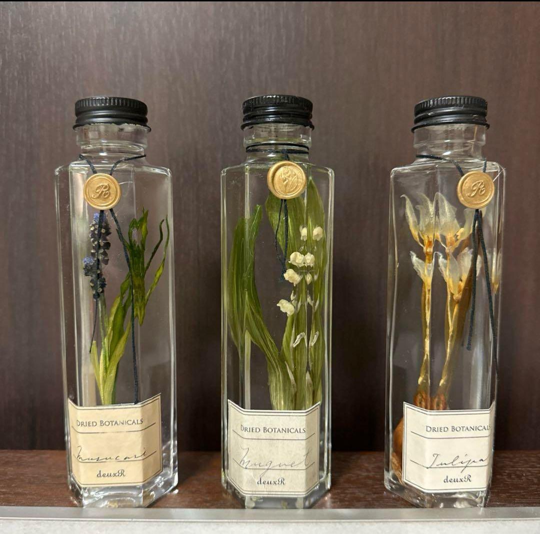 deuxRドライフラワー ハーバリウム 3本セット植物標本ボタニカルボトル