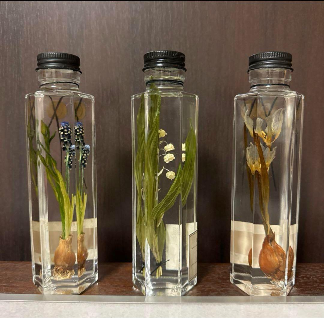 deuxRドライフラワー ハーバリウム 3本セット植物標本ボタニカルボトル