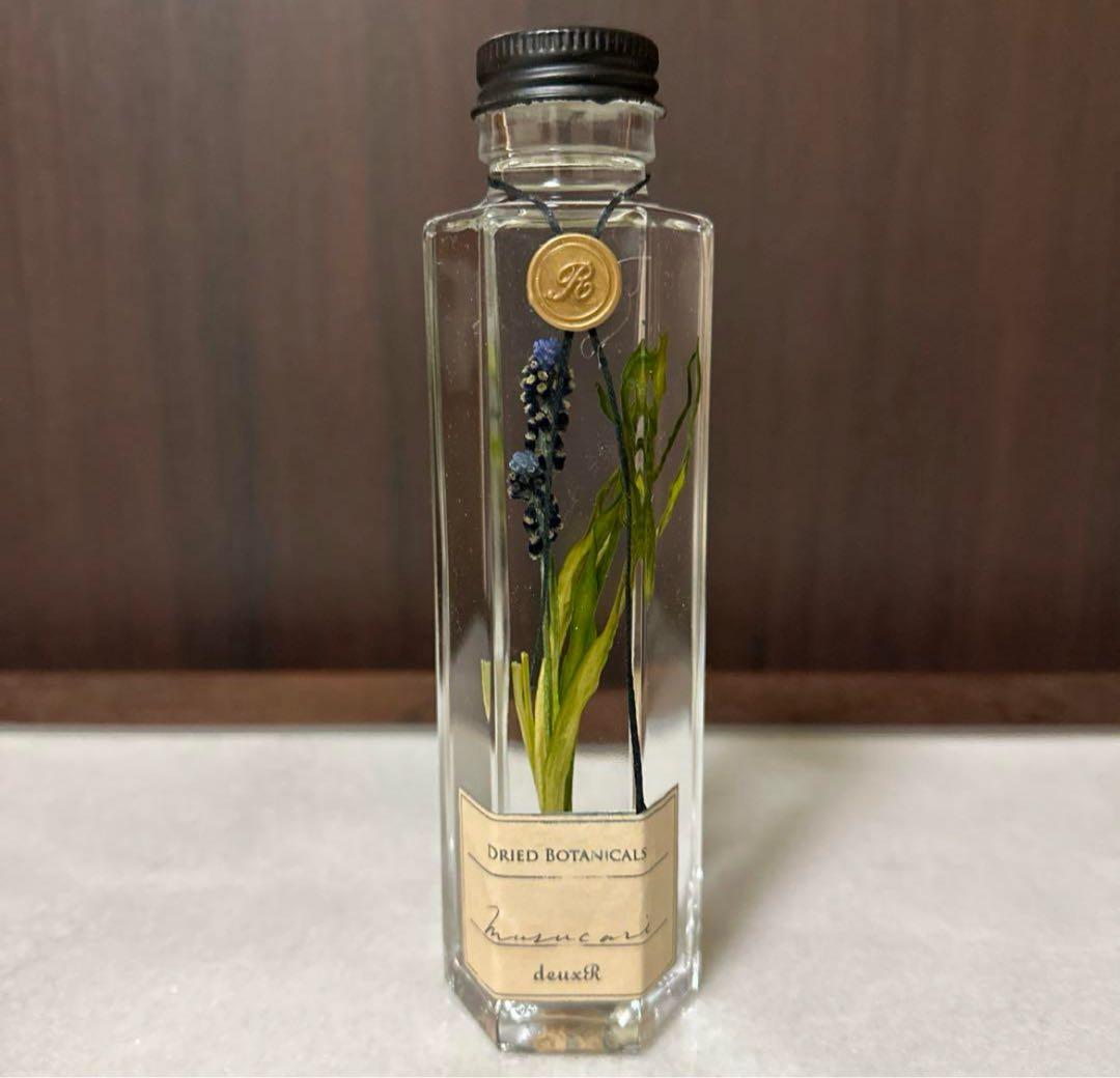 deuxRドライフラワー ハーバリウム 3本セット植物標本ボタニカルボトル