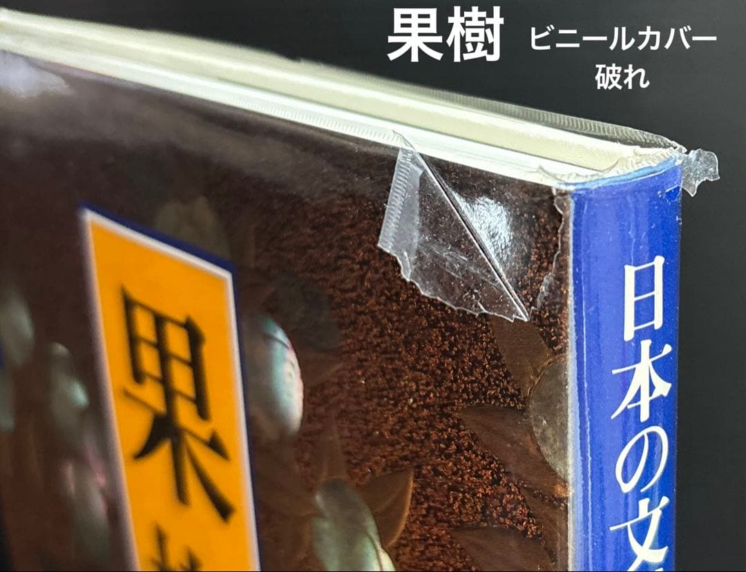 日本の文様 1-18巻 小学館