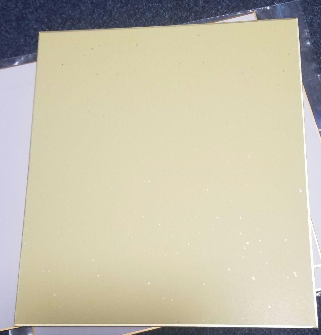 ネイマール　フレッジ　アラーナ　アリソン　ヴィニシウス　ジェズス　直筆サイン