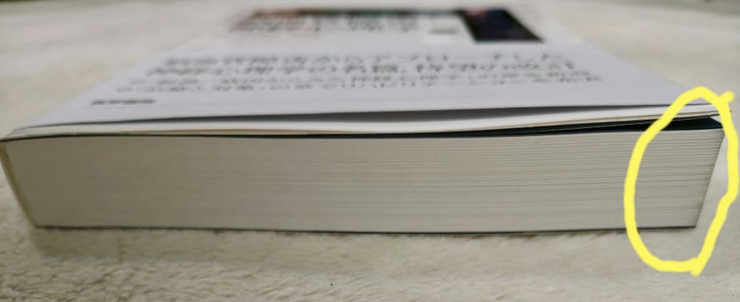 脳血管障害と神経心理学　第2版