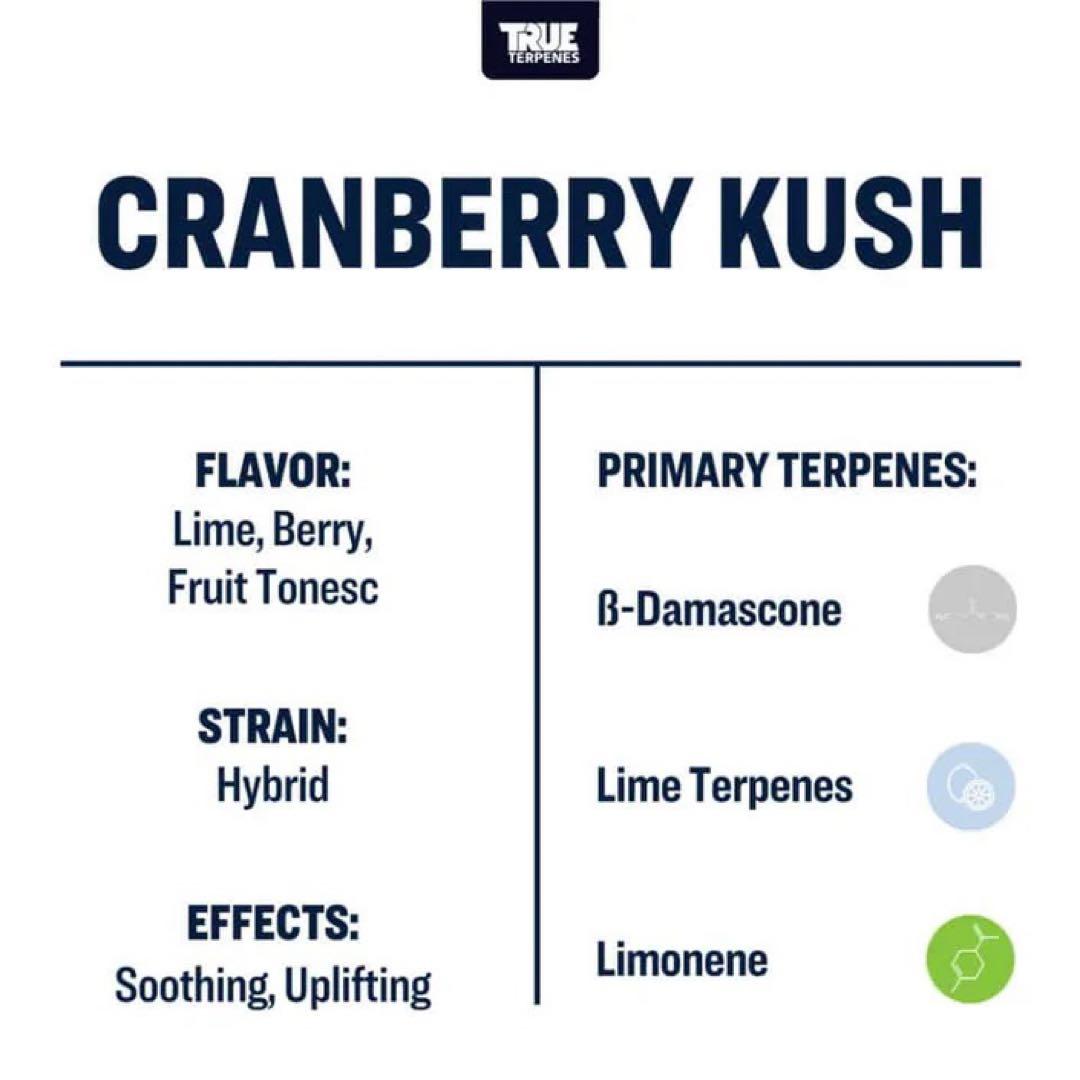 【10ml】Cranberry Kush／TrueTerpenesテルペンCBD