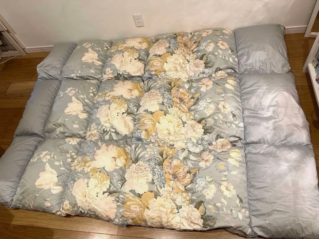 ロマンス小杉　ポーランドグースダウン95% セミダブル+大阪西川ダブルの2枚