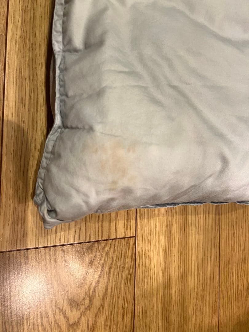 ロマンス小杉　ポーランドグースダウン95% セミダブル+大阪西川ダブルの2枚