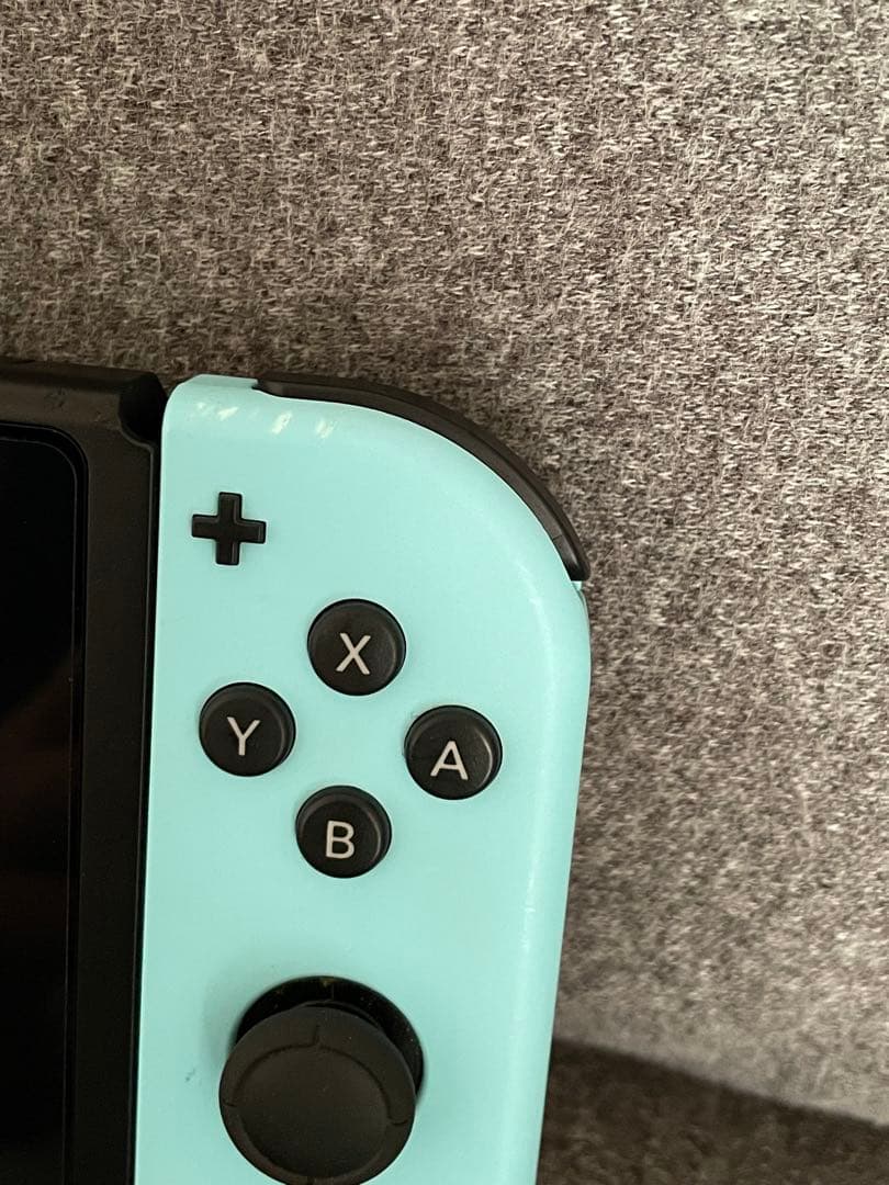 Nintendo Switch 本体 あつまれどうぶつの森セット