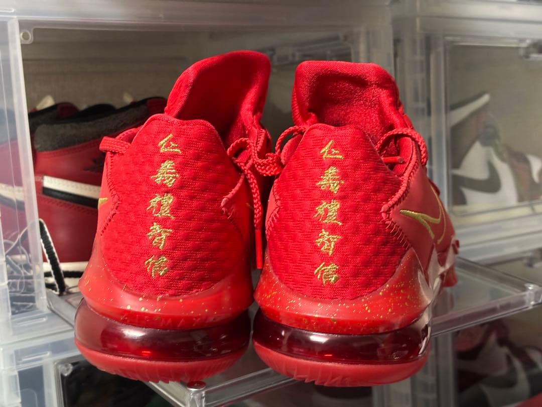 NIKE レブロン17 dc5009 600