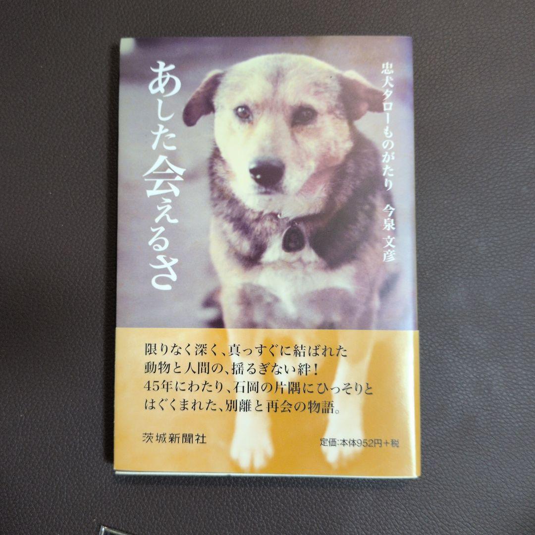 あした会えるさ ＋映画化ポストカード5枚