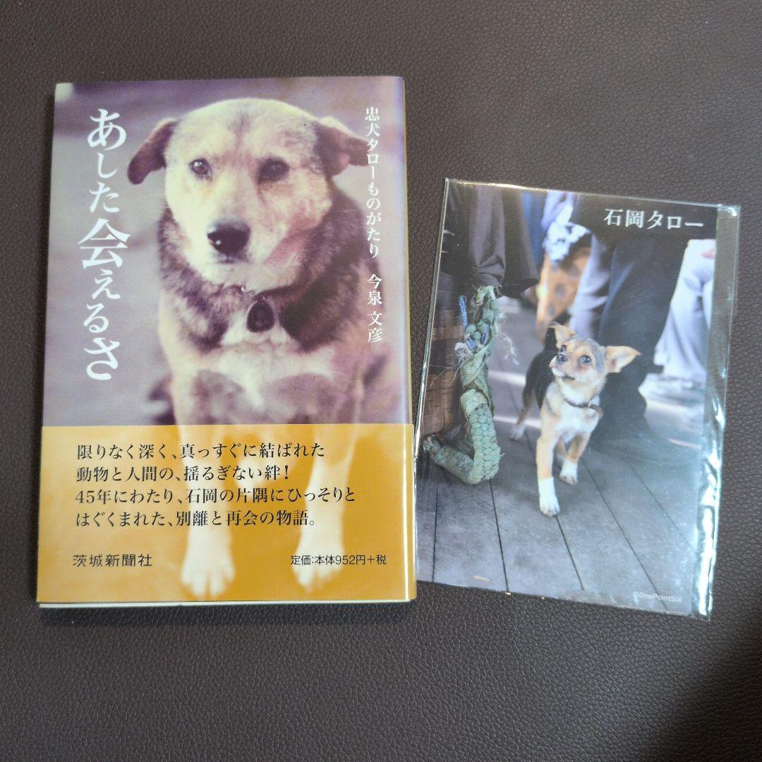 あした会えるさ ＋映画化ポストカード5枚